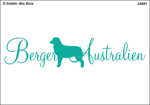 Lettrage Berger Australien 1 ligne 1 silhouette mod. 881
