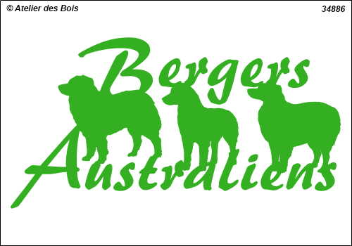 Lettrage Bergers Australiens 2 lignes 3 silhouettes mod. 886
