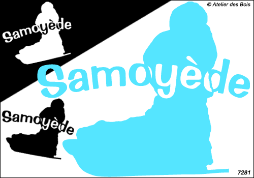 Lettrage Samoyède avec silhouette de musher